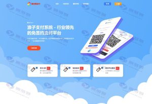 支付系统源码 第三方支付系统源码 聚合支付系统源码 浪子易支付系统源码 彩虹易支付系统源码插图2