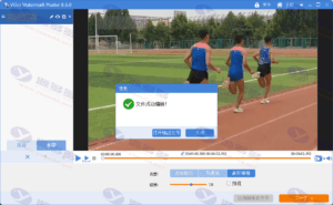 批量视频去除水印、添加水印工具 Video Watermark Master v8.6.0 中文激活版插图4