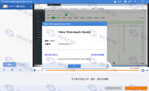 批量视频去除水印、添加水印工具 Video Watermark Master v8.6.0 中文激活版插图6