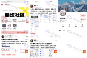 FANbbs社区圈子源码更新：视频直链、原图预览、图片编辑等全新功能插图2