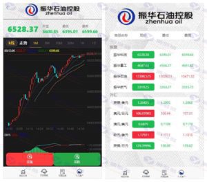 最新更新的石油振华控股微盘二次开发UI完整版：K线正常，流畅不卡顿，提供文字教程插图