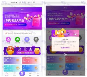 京东、拼多多、淘宝、唯品会商城自动抢单系统源码：抢单接单返利、APP封装、资金管理插图
