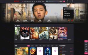 netflix自适应短视频风格苹果CMS模板源码 支持多终端展示插图