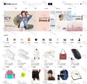 全开源TikTok跨境电商商城源码及搭建教程：前端VUE与后端集成插图
