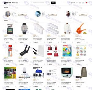 全开源TikTok跨境电商商城源码及搭建教程：前端VUE与后端集成插图2