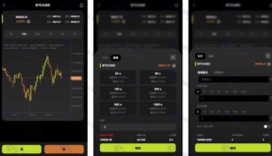 WealthFlow多语言交易所源码：支持模拟账户，uniapp编译后+后端php插图2