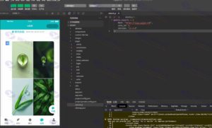 ChatGPT付费创作系统V3.0.6独立版：WEB+H5+小程序，AI智能问答系统（新增AI全网搜索+文档解析+豆包AI通道）插图2