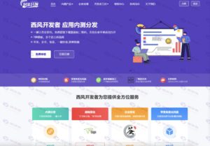 修复版APP在线封装源码 – 支持安卓、iOS、EXE分发 | 仿第八区应用打包系统插图
