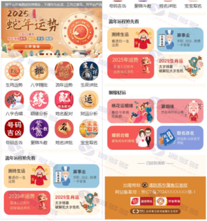 2025新版蛇年运势测算系统源码 风水起名 八字命理 财运姻缘 塔罗占卜插图