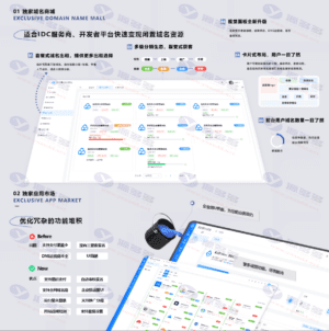 全新升级版：派小星DNS二级域名智能分发系统V2.0 重构发布插图